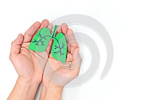 Hands holding a pair of healthy lungs in white background. Top view, flat lay with copy space.