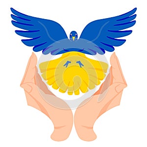 Hands are holding a peace dove in Urainian flag colors. No war concept. Blue and yellow conceptual idea - Support