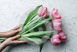 Hands holding pink tulips flowers on white background. Card for Mothers day, 8 March, Happy Easter. Waiting for spring