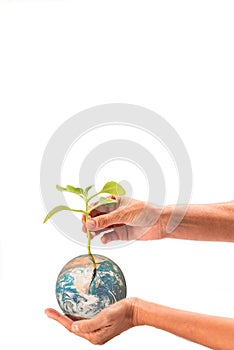 hands holding the planet, space for copy, white background, earth day concept, vertical