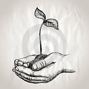 Hands holding plant sprout graphic illustration