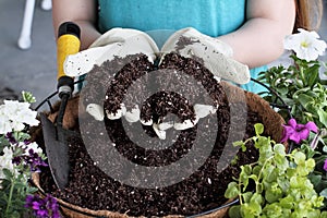 Hands Holding Potting Soil photo