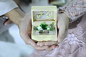 Hands holding ring, hand holding ring, wedding ring, ring box, boxes,flower, flowers