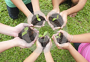 Hands holding sapling in soil surface photo