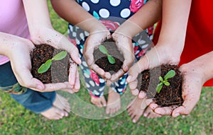 Hands holding sapling in soil surface photo