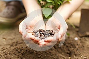 Hands Holding Seeds