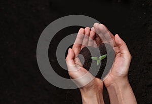 Hands holding soil in the shape of a heart.Earth day concept