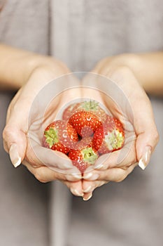 Hands holding strawberries