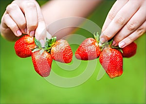 Hands holding strawberries