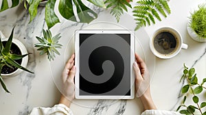 Hands holding tablet on a nature-inspired desk