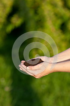 Hands holding topsoil photo