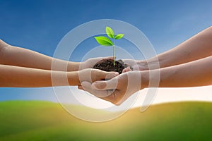 Hands holding tree growing on green mountain under blue sky. Beauty nature,for good environment