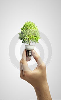 Hands holding tree growing out of electric bulb