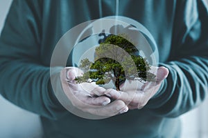 hands holding tree and virtual glob as energy efficiency concept