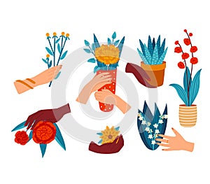 Hands holding various potted plants and flowers, colorful botanical illustration. Diverse flora in pots, hand gestures