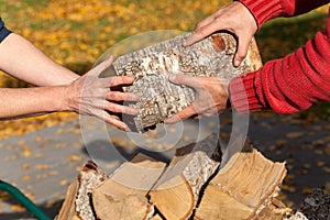 Hands holding wood