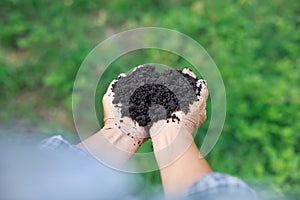 Hands holding young plant