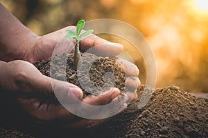 A hands holding young plant for growth on soil with around the crisis environment.