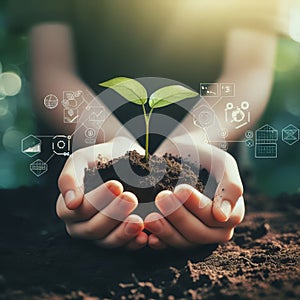 Hands holding young plants on natural background of growth of plant