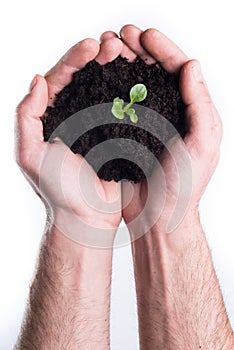 Hands holds topsoil with plant photo