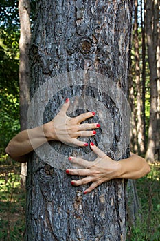 Hands hug a tree