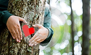 Hands hugging trees on world environment day. Woman in the woods hugging a tree with her arms. Earth Day concept. People must save