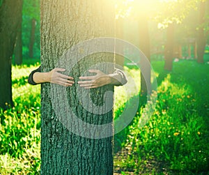 Hands hugging trunk of tree