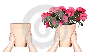 Hands keep flower pot