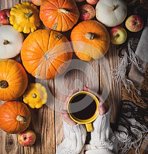 Hands keeping cup of coffee and pumpkins