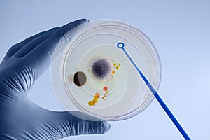 Hands of the laboratory technician collecting a sample from a pe