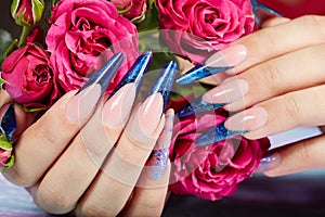 Hands with long artificial blue french manicured nails and rose flowers