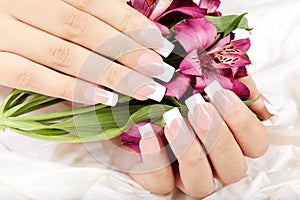 Hands with long artificial french manicured nails and lily flowers