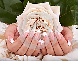 Hands with long artificial french manicured nails photo