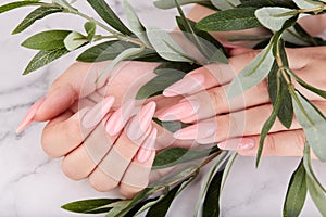 Hands with long artificial manicured nails colored with pink nail polish