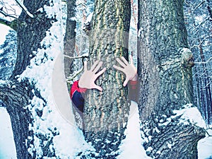 Hands with long frozen fingers touch tree bark. Male hands