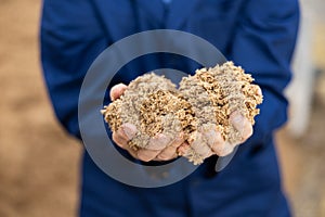 Hands of male farmworker holding handful of brewers grains