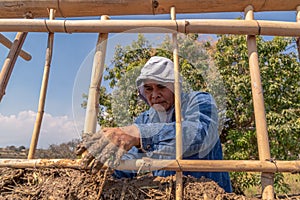 hands a man building a wall with reed and mud, bioconstruction