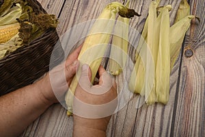 Hands of a man cleaning an ear of corn on a wooden background. Autumn harvest, Healthy food, Fitness diet. Close up