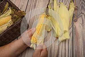 Hands of a man cleaning an ear of corn on a wooden background. Autumn harvest, Healthy food, Fitness diet. Close up