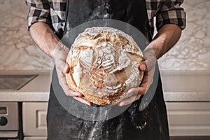 Hands of man holding big loaf of white bread. Male in black apron in home kitchen background with wheat bread