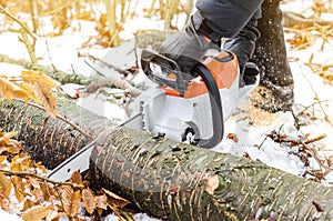 Hands of a man holding an electric saw, cuts a tree in the winter forest. Deforestation. Harvesting wood. Scaffolding