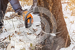 Hands of a man holding an electric saw, cuts a tree in the winter forest. Deforestation. Harvesting wood. Scaffolding