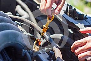 hands of a man, the man checks for car oil