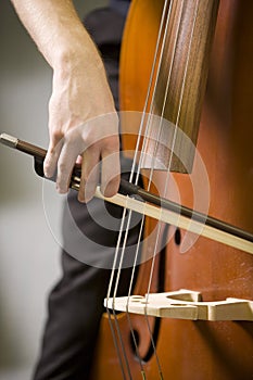 Hands of man playing the bass