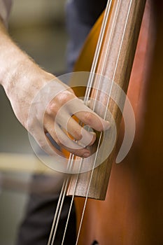Hands of man playing the bass