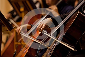 Hands of the man playing the cello