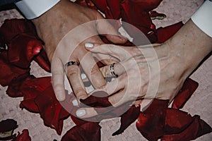 hands of man and woman with wedding rings. Gold rings on the hands of the newlyweds