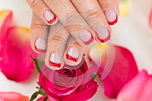 Hands With Manicured Nail Varnish Placed On Roses