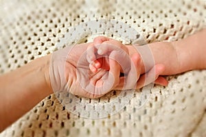 Hands of mather and baby