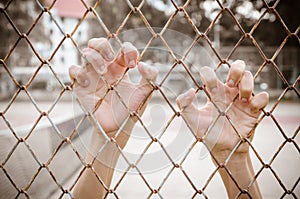 Hands with Mesh cage, Hands with steel mesh fence